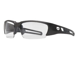 SafeVision SVSR4